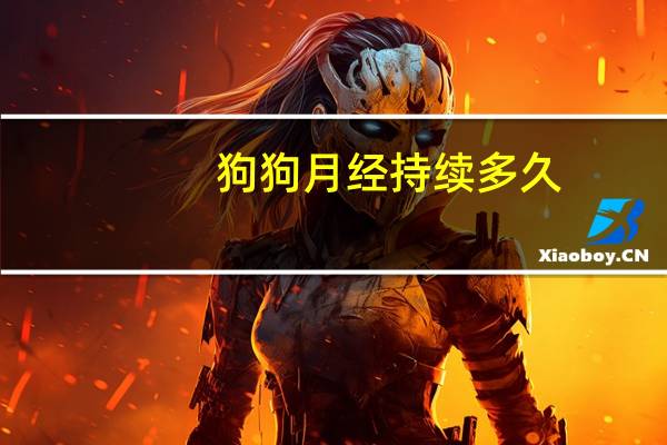 狗狗月经持续多久
