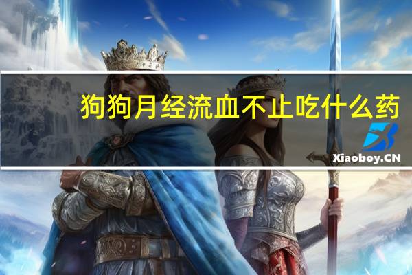 狗狗月经流血不止吃什么药