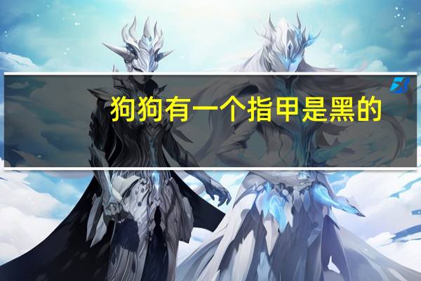 狗狗有一个指甲是黑的