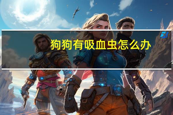 狗狗有吸血虫怎么办