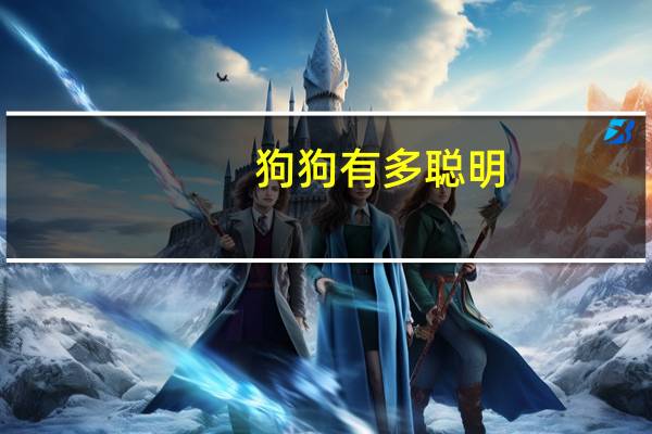 狗狗有多聪明