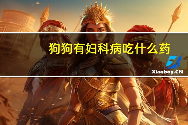 狗狗有妇科病吃什么药