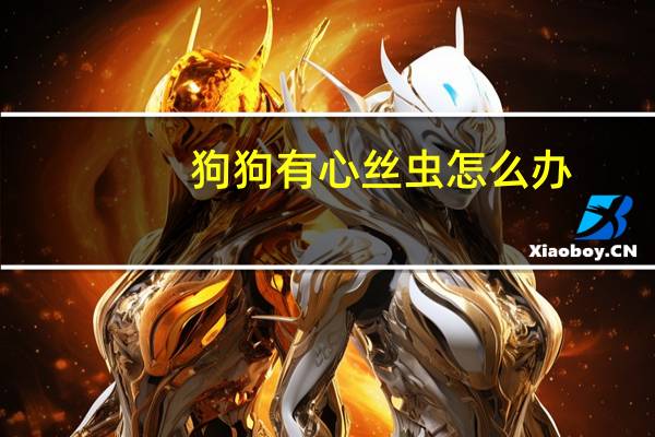狗狗有心丝虫怎么办