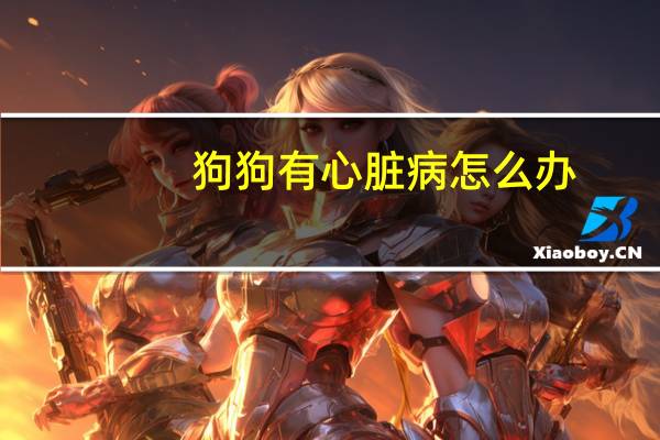 狗狗有心脏病怎么办