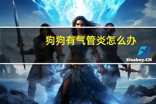 狗狗有气管炎怎么办