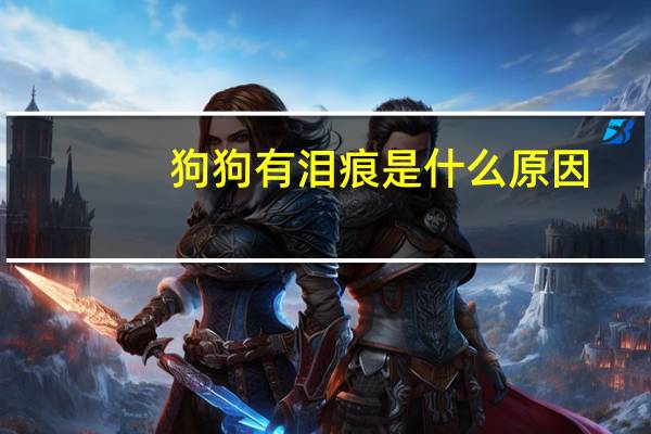 狗狗有泪痕是什么原因