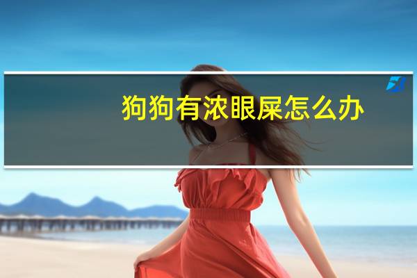 狗狗有浓眼屎怎么办