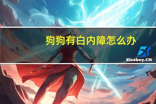 狗狗有白内障怎么办