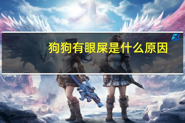 狗狗有眼屎是什么原因