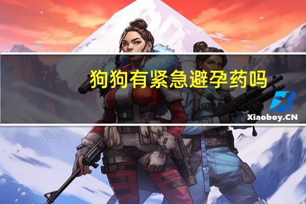 狗狗有紧急避孕药吗