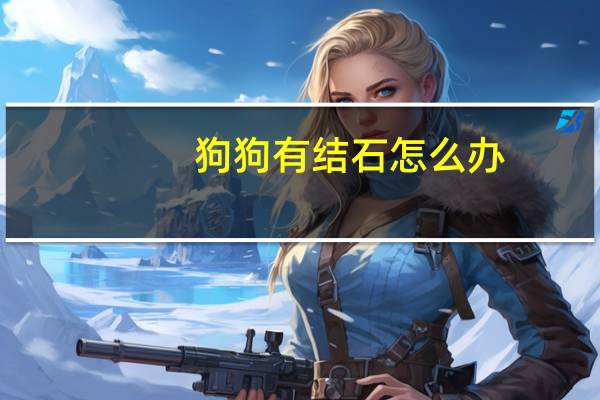 狗狗有结石怎么办