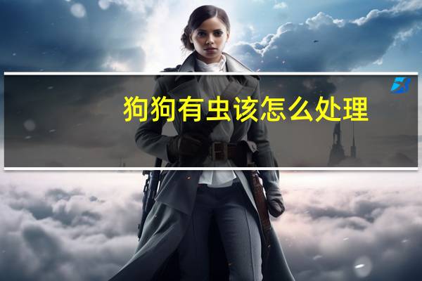 狗狗有虫该怎么处理