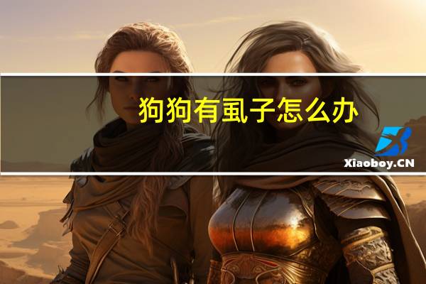 狗狗有虱子怎么办