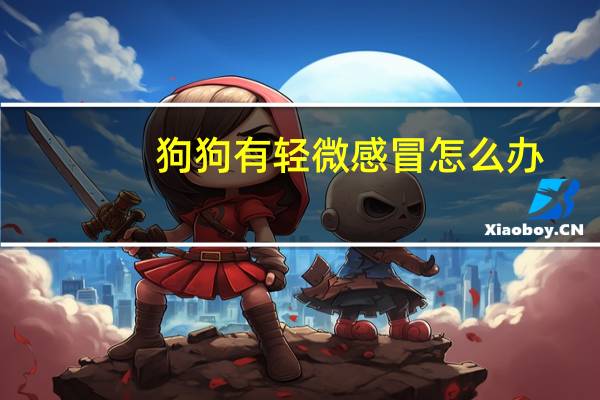 狗狗有轻微感冒怎么办