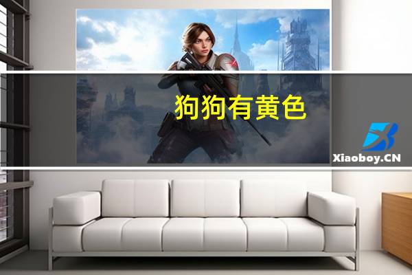狗狗有黄色