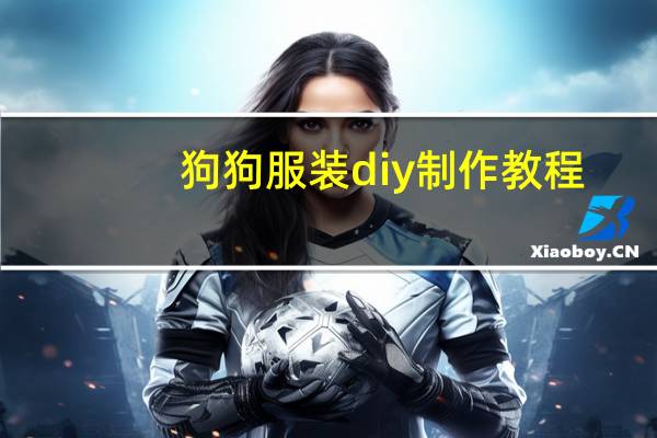 狗狗服装diy制作教程