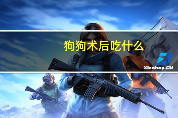 狗狗术后吃什么