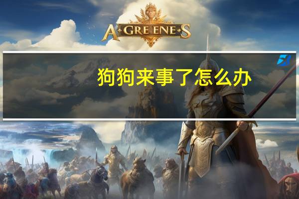 狗狗来事了怎么办
