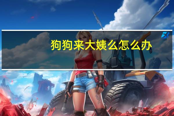 狗狗来大姨么怎么办