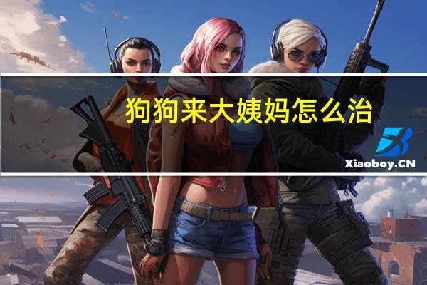 狗狗来大姨妈怎么治