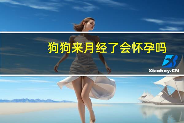 狗狗来月经了会怀孕吗