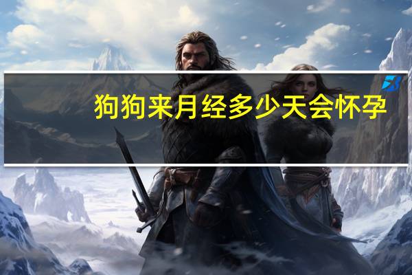 狗狗来月经多少天会怀孕