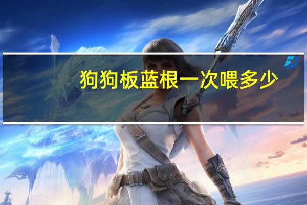 狗狗板蓝根一次喂多少