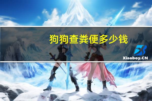 狗狗查粪便多少钱