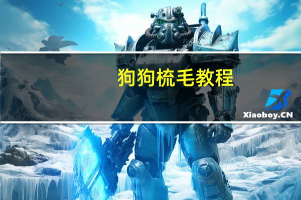 狗狗梳毛教程