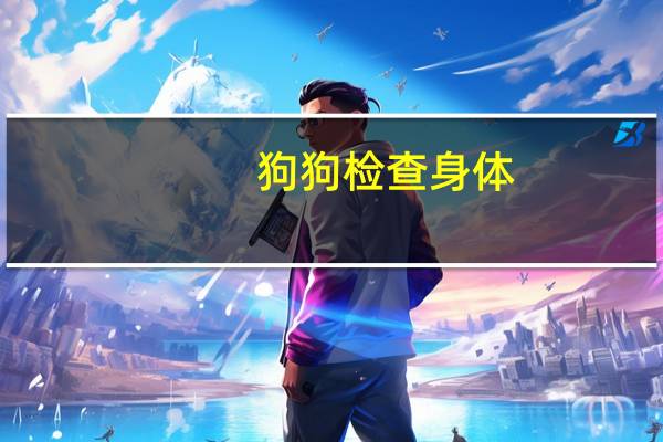 狗狗检查身体