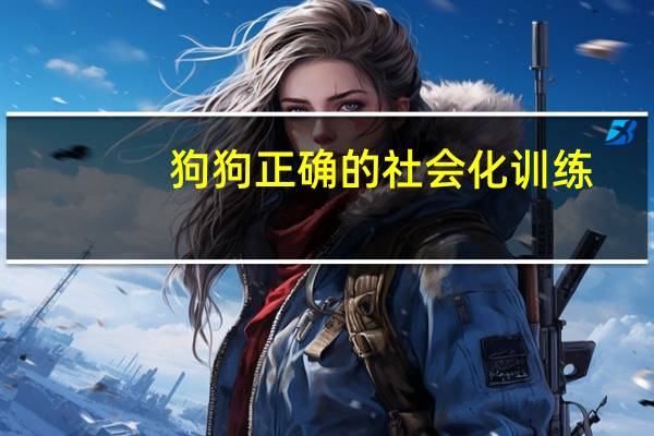 狗狗正确的社会化训练