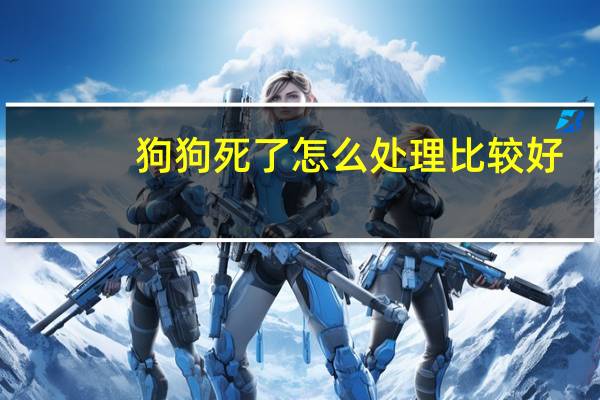 狗狗死了怎么处理比较好
