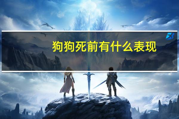 狗狗死前有什么表现
