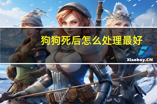 狗狗死后怎么处理最好