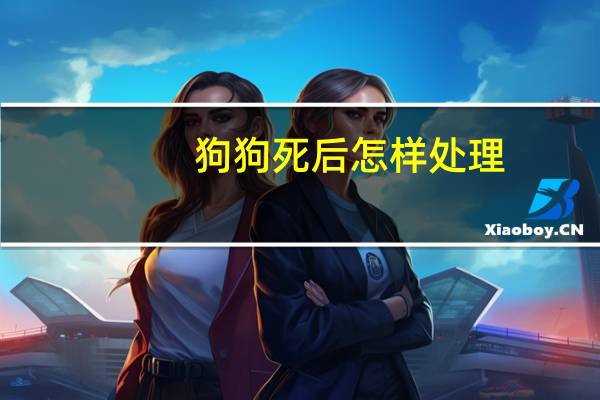 狗狗死后怎样处理