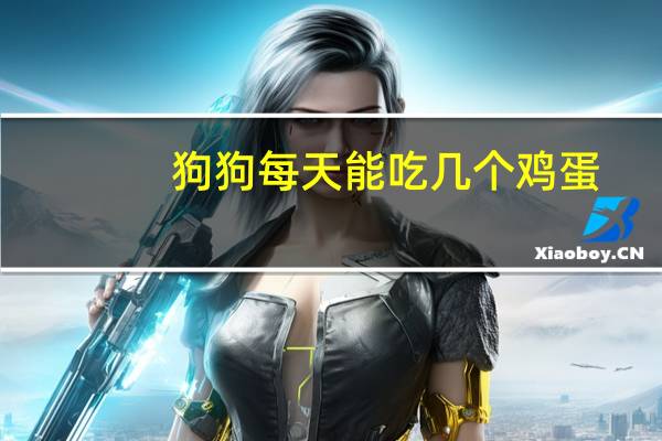 狗狗每天能吃几个鸡蛋
