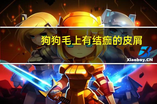 狗狗毛上有结痂的皮屑