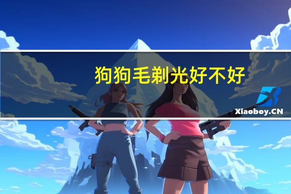 狗狗毛剃光好不好