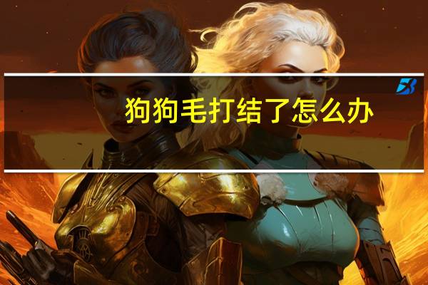 狗狗毛打结了怎么办