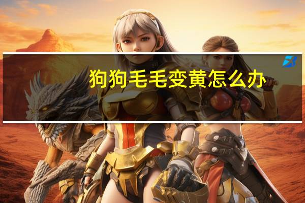 狗狗毛毛变黄怎么办