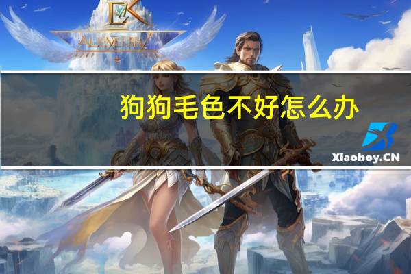 狗狗毛色不好怎么办