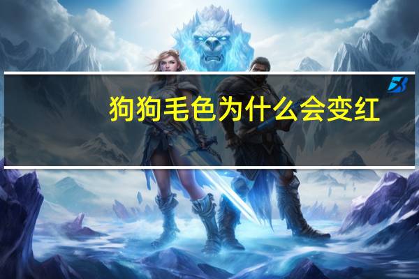 狗狗毛色为什么会变红