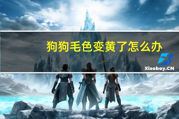 狗狗毛色变黄了怎么办