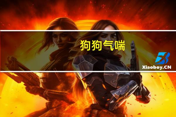 狗狗气喘
