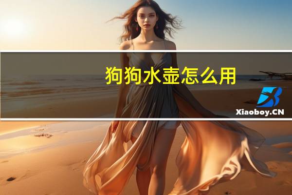 狗狗水壶怎么用