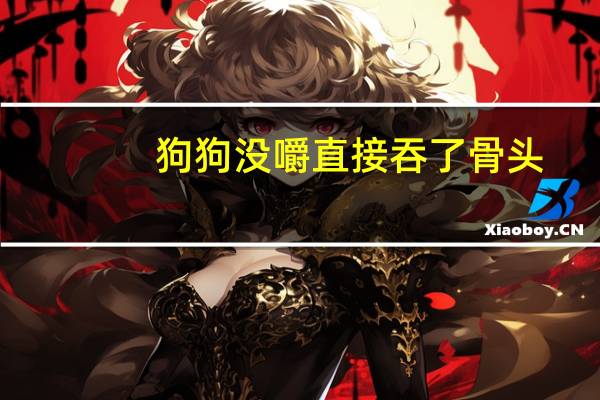狗狗没嚼直接吞了骨头
