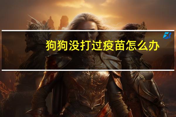 狗狗没打过疫苗怎么办