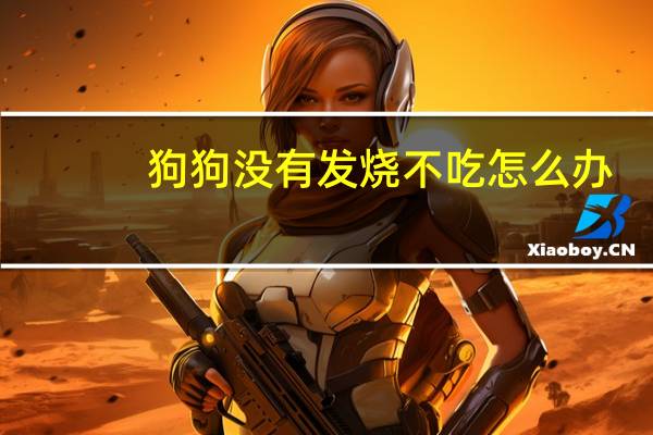 狗狗没有发烧不吃怎么办