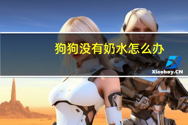 狗狗没有奶水怎么办