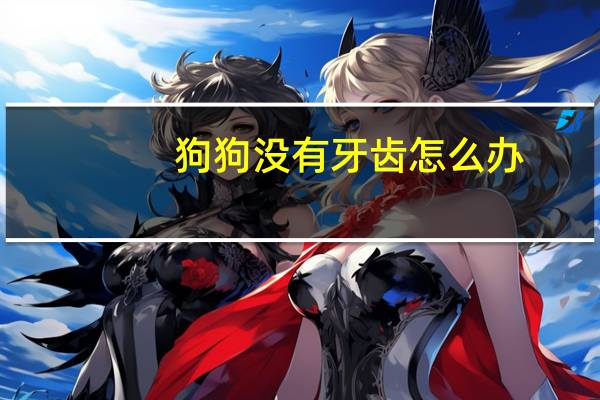 狗狗没有牙齿怎么办